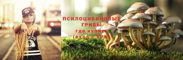 ECSTASY Баксан