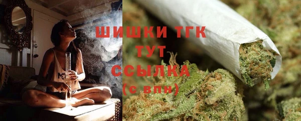 PSILOCYBIN Армянск