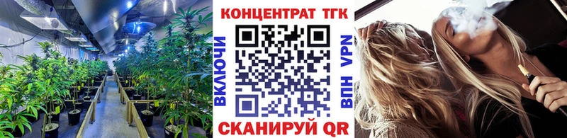 блэк спрут зеркало маркетплейс как зайти ТГК концентрат Рыбинск